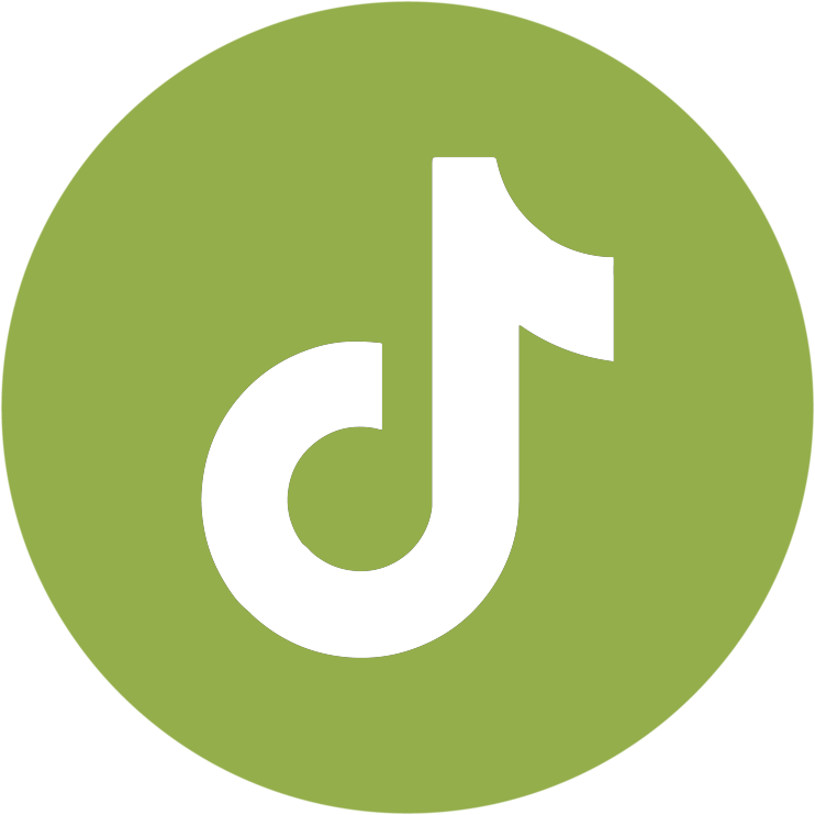 Icono TikTok Fundamenta