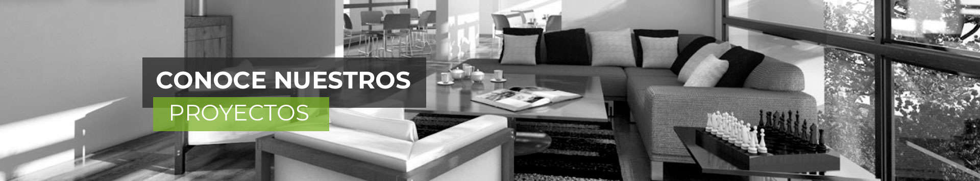 Conoce Nuestros Proyectos