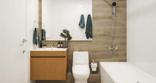 Eco Arauco Barrio Franklin baño