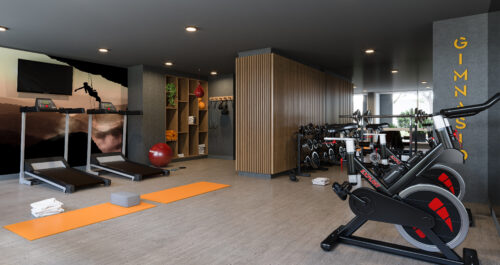 Eco España gym